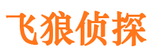 宜川飞狼私家侦探公司